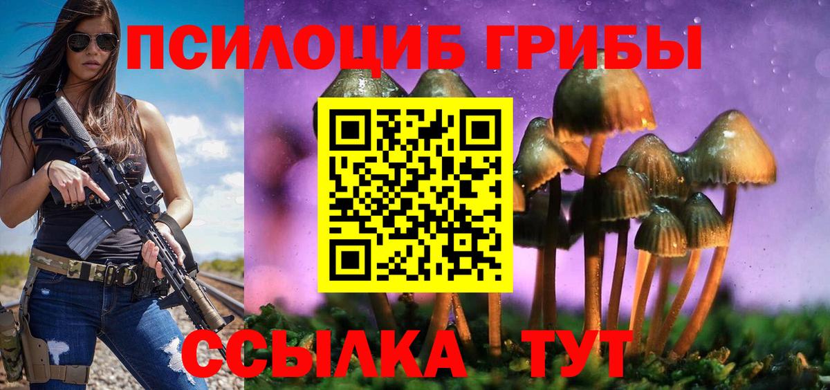 Псилоцибиновые грибы MAGIC MUSHROOMS  Вход с VPN  купить закладку  Медногорск 